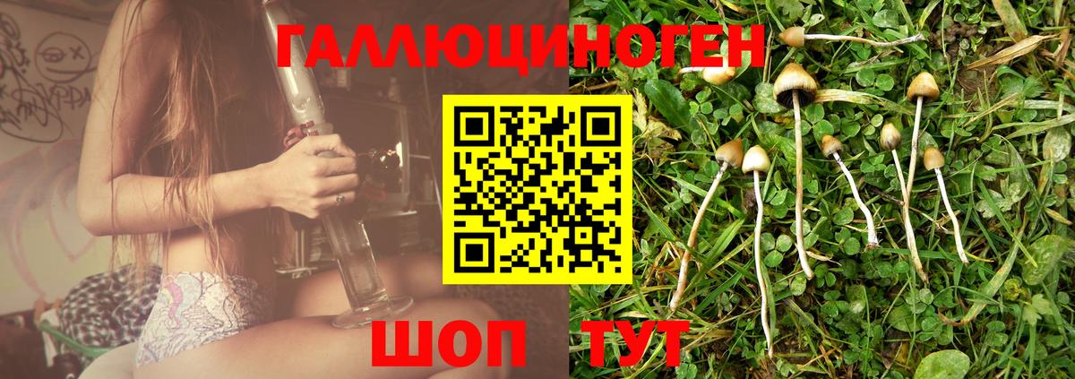 Псилоцибиновые грибы Cubensis Кириши