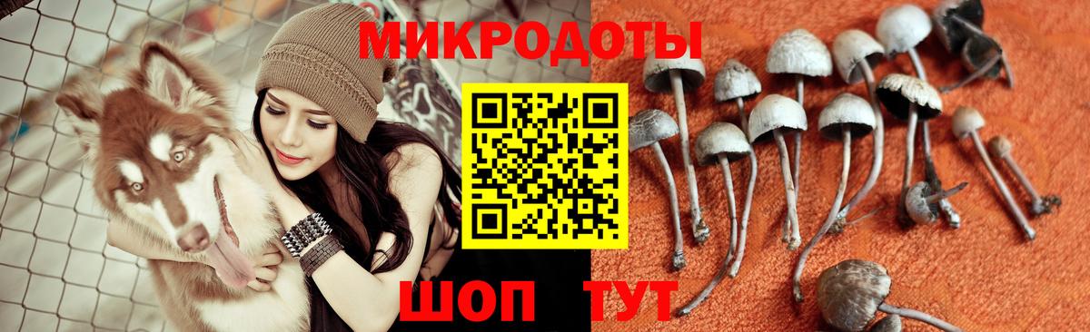 Галлюциногенные грибы Magic Shrooms  Вход с VPN  Кириши  Псилоцибиновые грибы мухоморы 